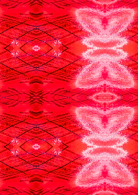 Patterns from Nature