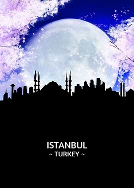 Istanbul Turkey Skyline