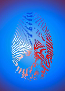 Music Fingerprint