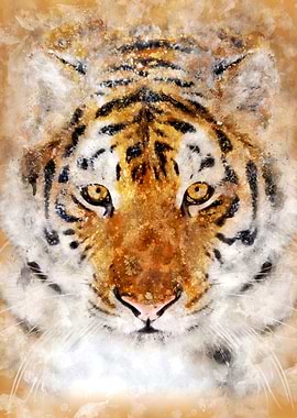 Tiger Powerful Gaze