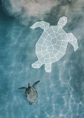 swimming turtle