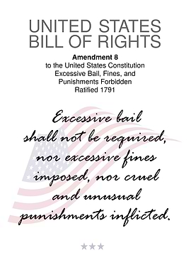 USA Bill Of Rights 8