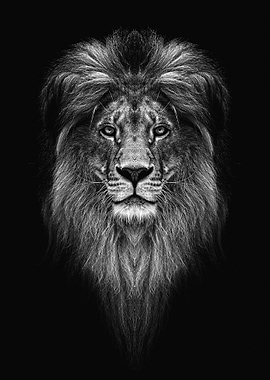Lion head black and white
