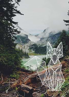 forest fox