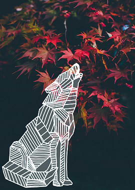 autumn wolf howling