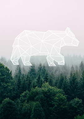 big bear forest