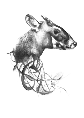Saola