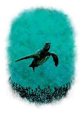 Turtle Guardian White