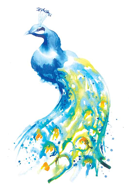 Peacock Painting