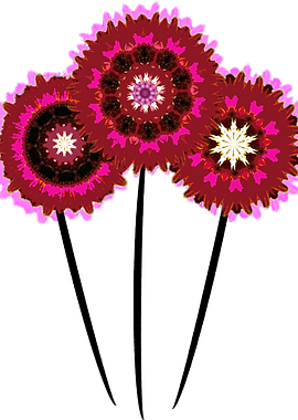 Contemporary pink poppies