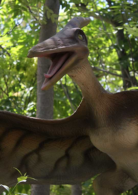Pterosaur