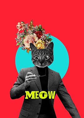 meow