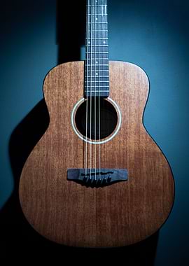 Acoustic Guitar