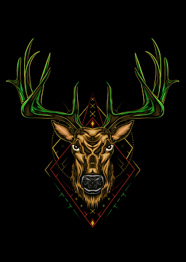 Buck Deer head ilustration