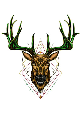 Buck Deer head ilustration
