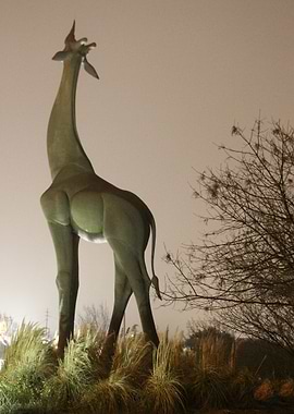 Touch the Sky Twilight