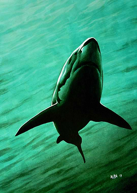 Raging Water Light Blue