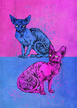 Two sphinx cats for kids