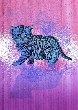 Little sweet cat walking