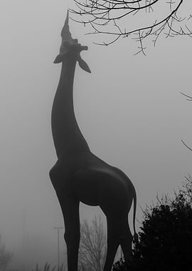 Touch the Sky Fog Morning