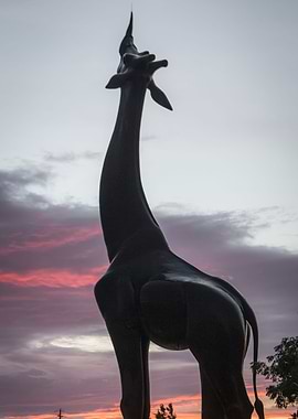 Touch the Sky Sunset