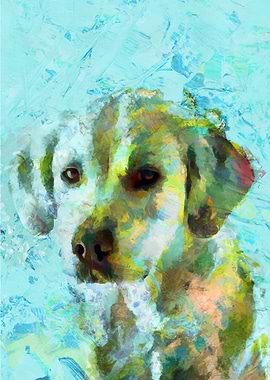 Dog Golden Retriever