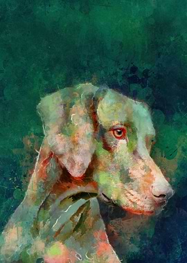 Dog Hungarian Pointer