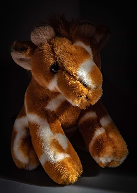 Giraffe Toy