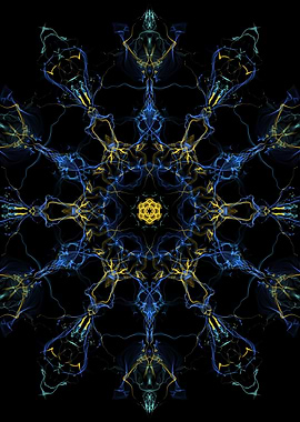 Conscious Connections