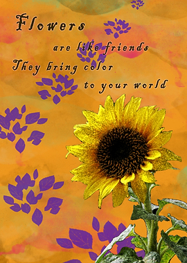 Bring Color to your World