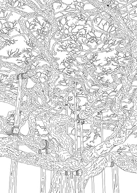 Old Pine Tree in Kenrokuen