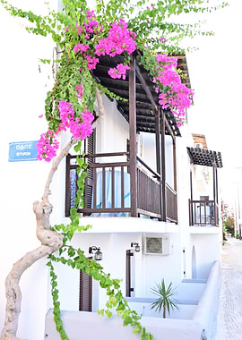 Pretty Street Naxos Town
