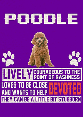 Poodle art