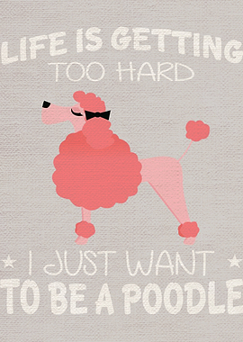 Poodle Poster