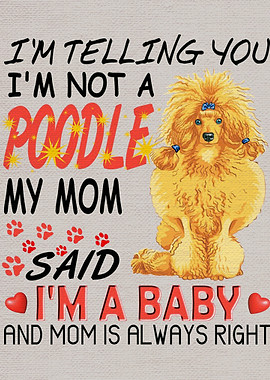 Poodle Poster