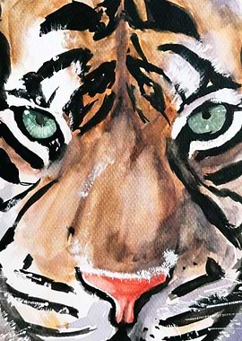 Tiger at the coffee shop