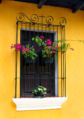 Old Antigua Window
