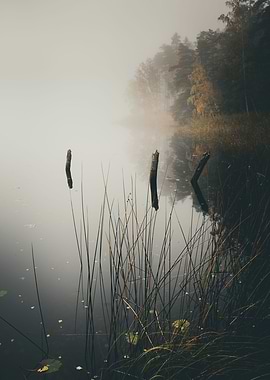 Time Standing Still Vol7