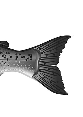 Alaska King Salmon Part 4