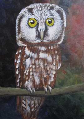 Owl bright eyed bushy tail