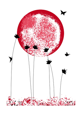 Butterflies and Moon