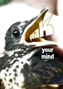 Speak your mind