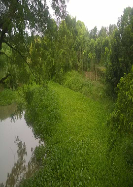 my village so cool isnt it