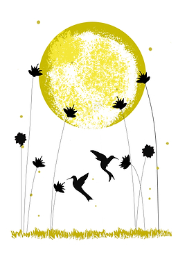 Hummingbirds and Moon