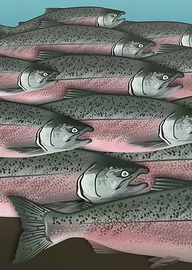 Alaskan Salmon Part2 Left