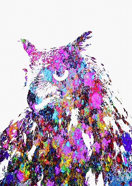 owl