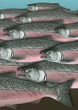 Alaskan Salmon Part2 Right