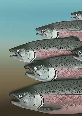 Alaskan Salmon Part1 Right