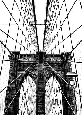 Brooklyn Bridge Web V