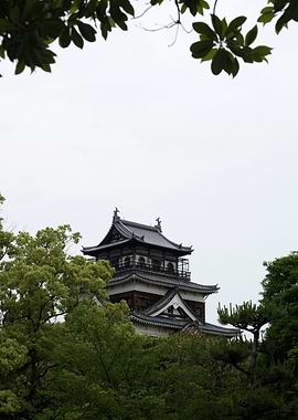 Carp Castle
